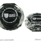 Crystal-Paper-Weight-(9071)-K1502-165