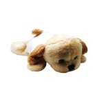 Dog-Fridge-Magnet-AYMG1305-40