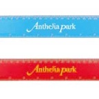 30cm-Ruler-ZU008005