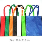 W-Non-Woven-Bag-NSB30-9